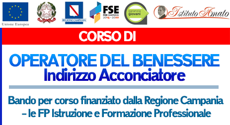 bando corso istituto amato 